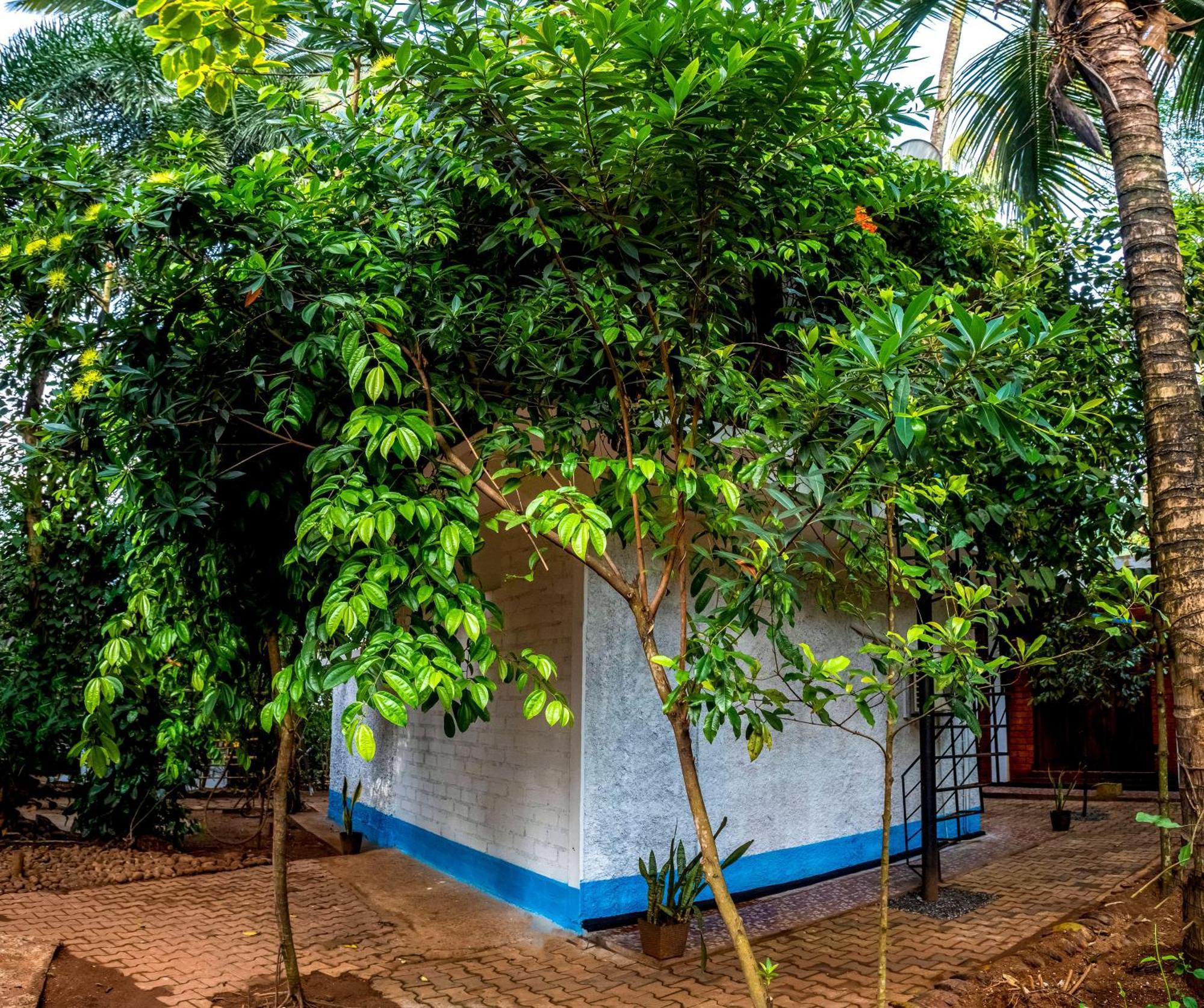 Jays Place Matale Kawudupelella Esterno foto